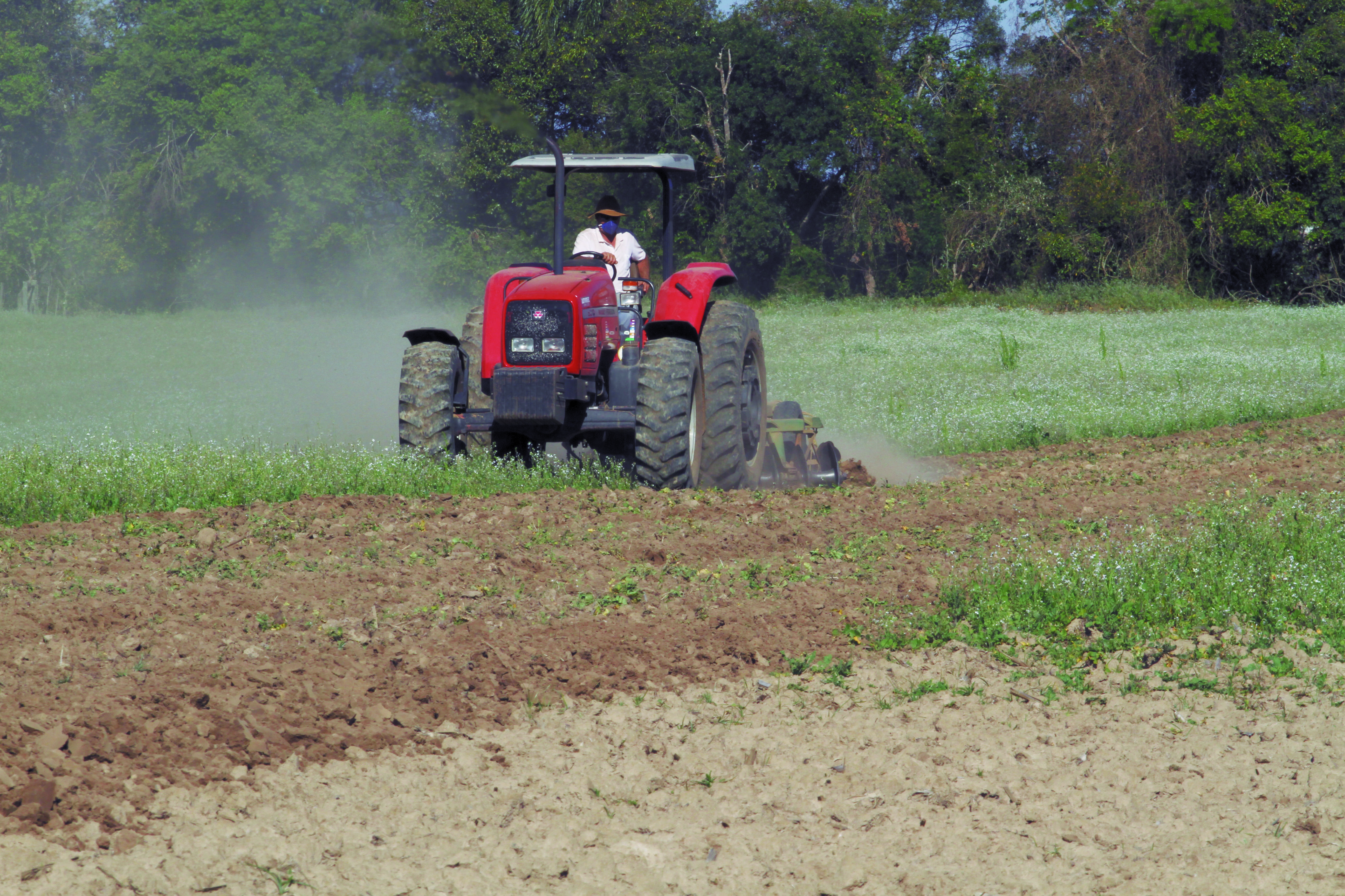 Imagem de capa