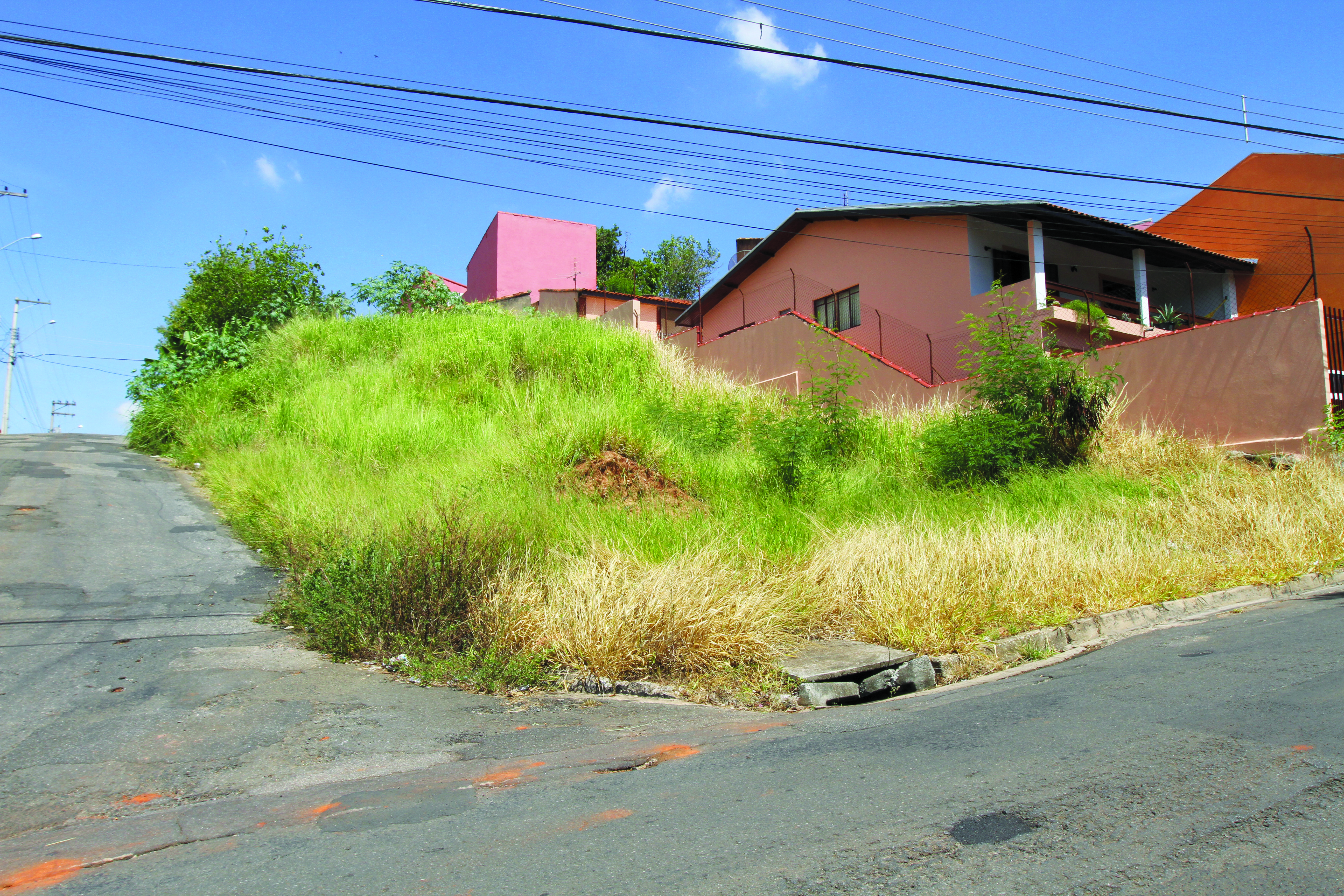 Imagem de capa