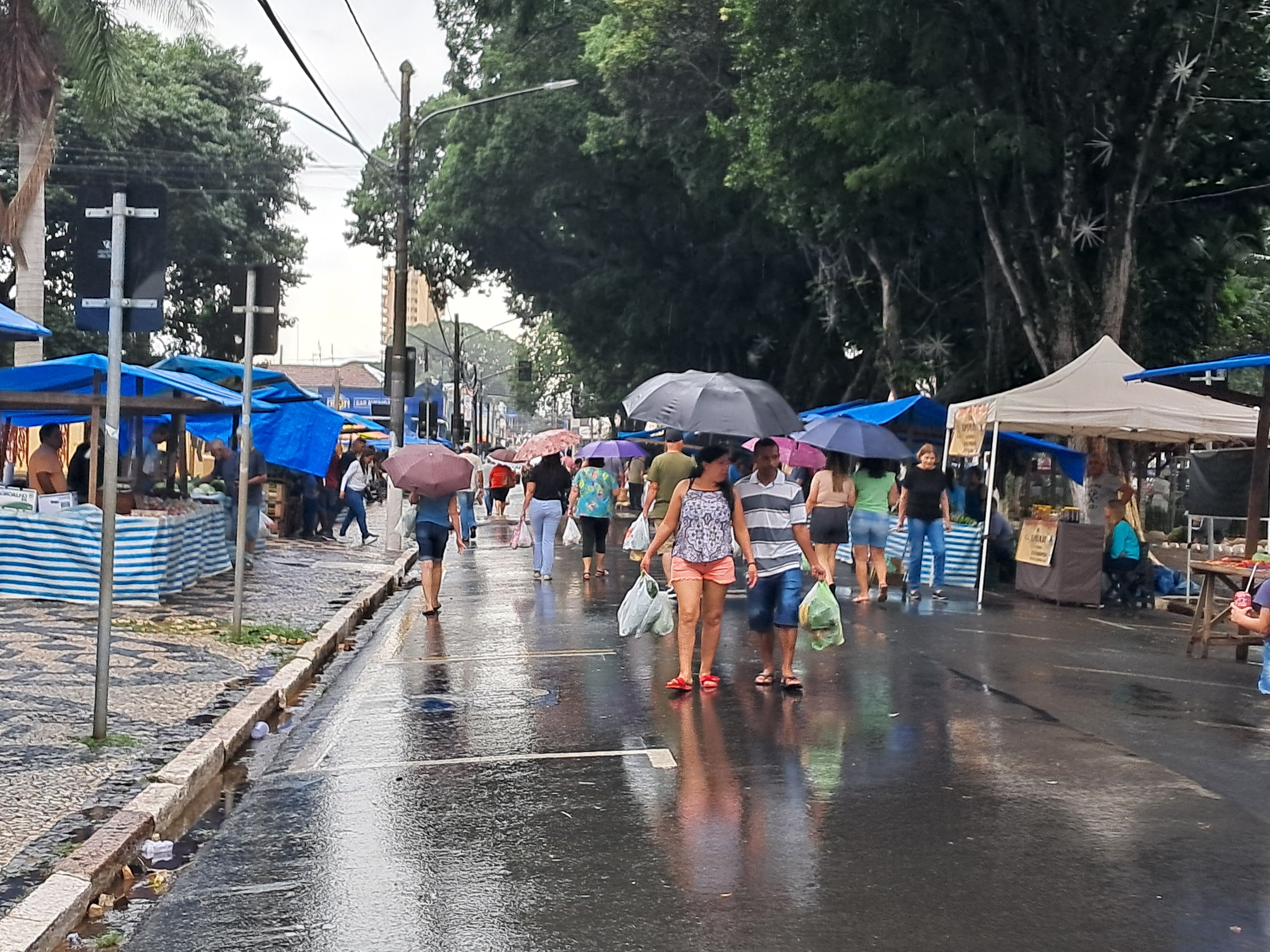 Imagem de capa